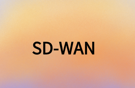 SD-WAN提供安全、靈活且經(jīng)濟(jì)高效的解決方案