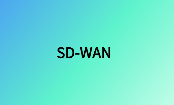 SD-WAN云網(wǎng)絡